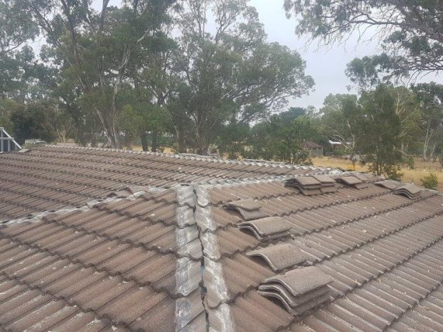 Re Bed and Pointing Ridge Cap