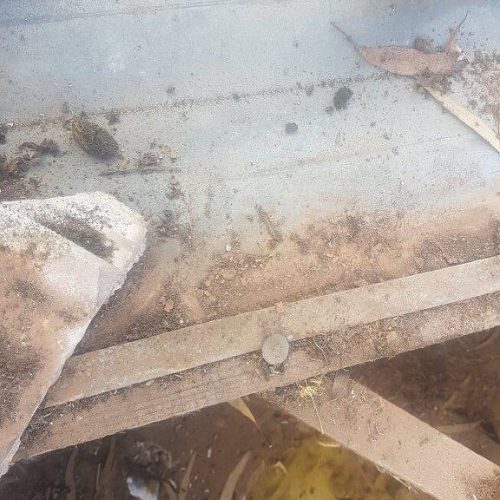 roof_repairs_adelaide 44